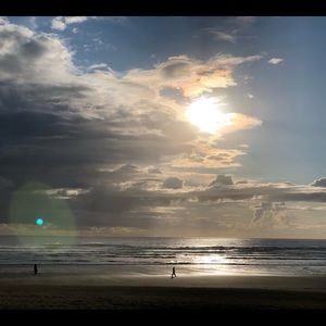 Meet your Posher, Elise